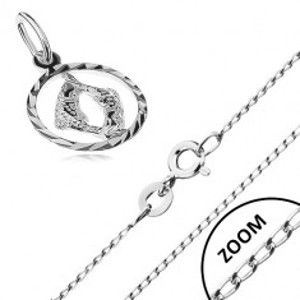 Stříbrný náhrdelník 925 - lesklý řetízek, přívěsek znamení RYBY R40.25
